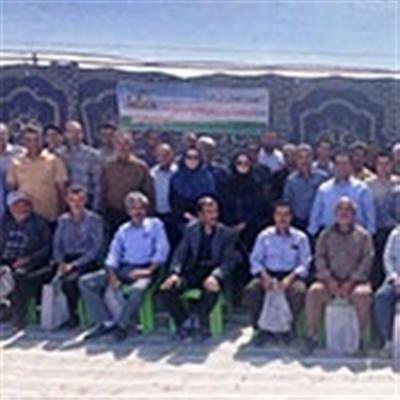 Sugar beet Field Day was held in Jovein